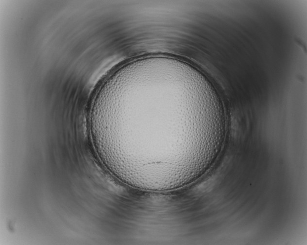 X0000103500782200809262012