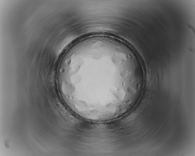 X0000103500783200809262012