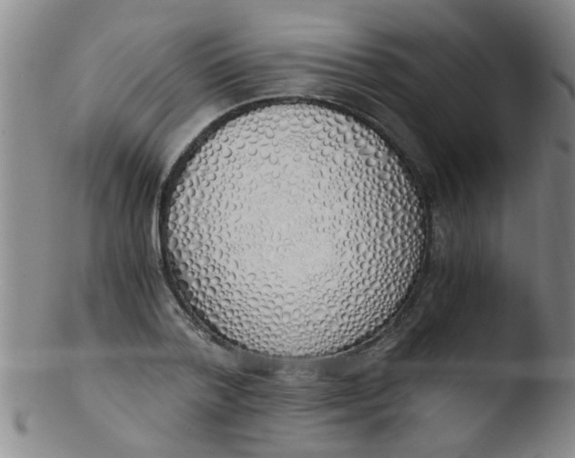 X0000103500788200809262012