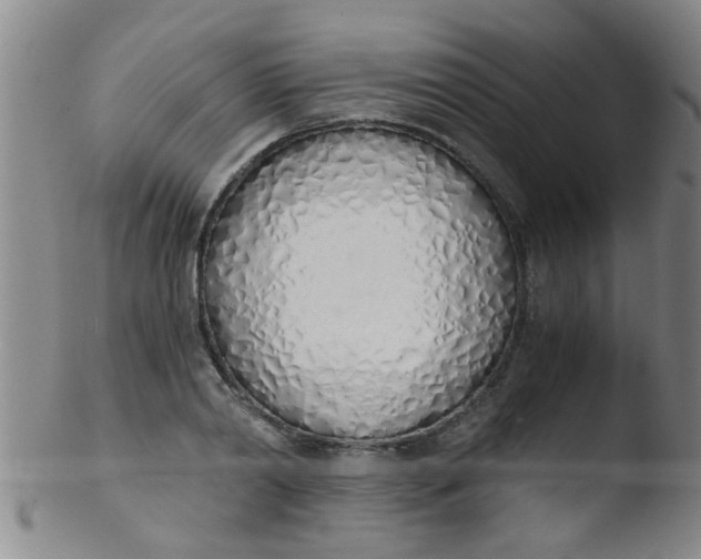 X0000103500790200809262012