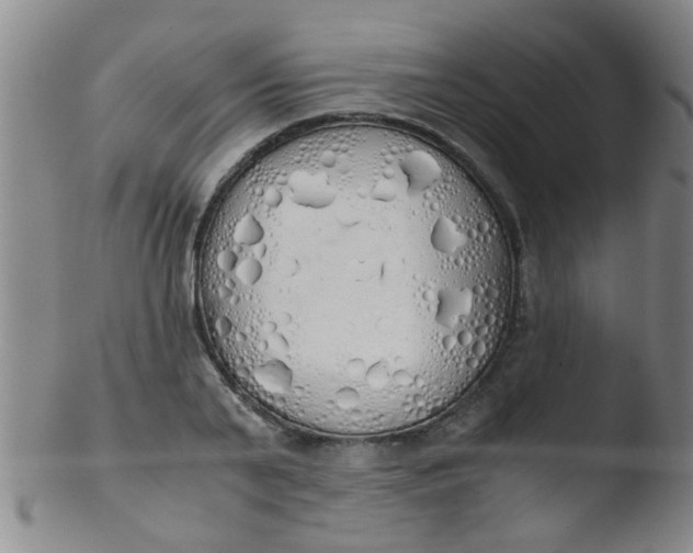 X0000103500791200809262012