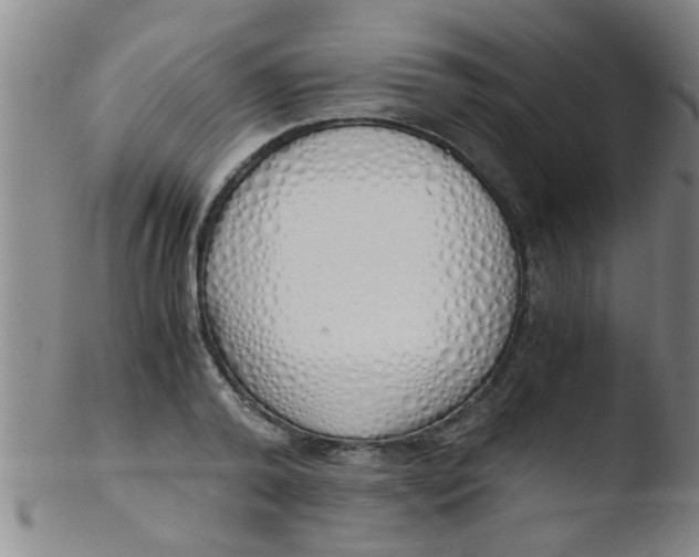 X0000103500792200809262012