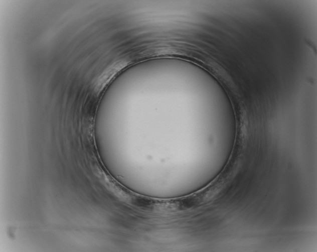 X0000103500793200809262012