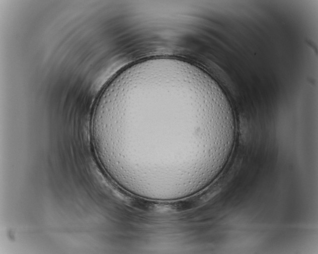 X0000103500794200809262012