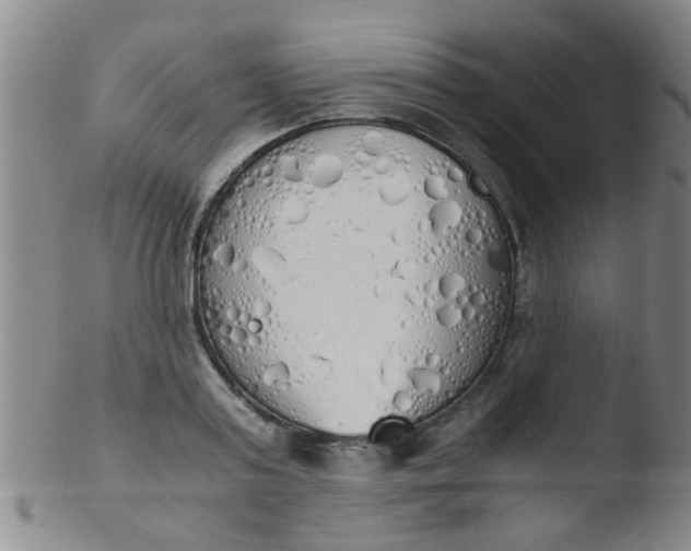 X0000103500795200809262012