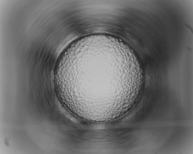 X0000103500798200809262012