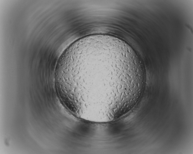 X0000103500802200809262012