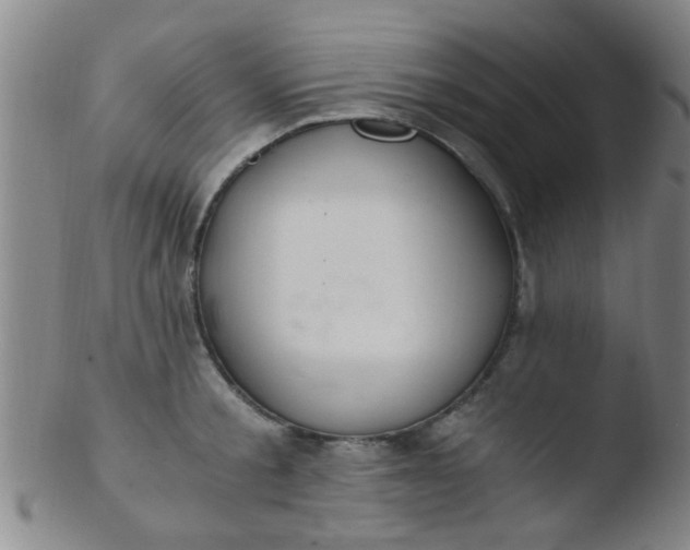 X0000103500805200809262012