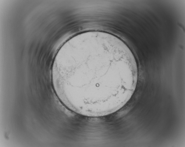 X0000103500807200809262012