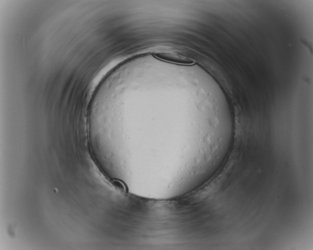 X0000103500808200809262012