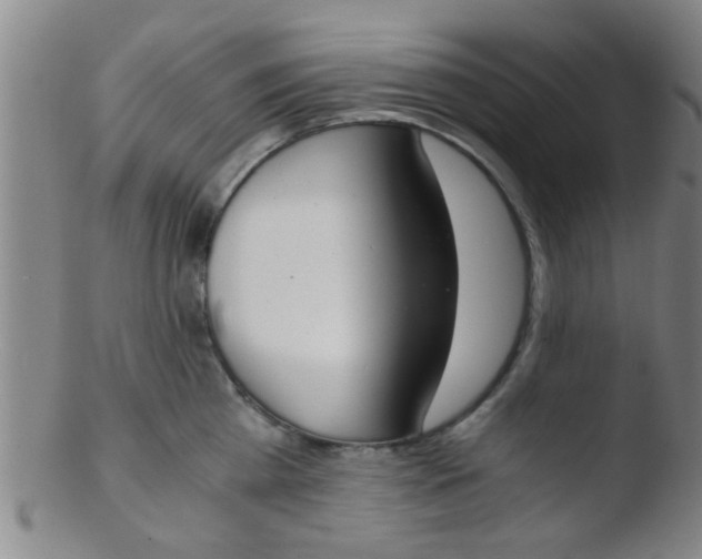 X0000103500809200809262012