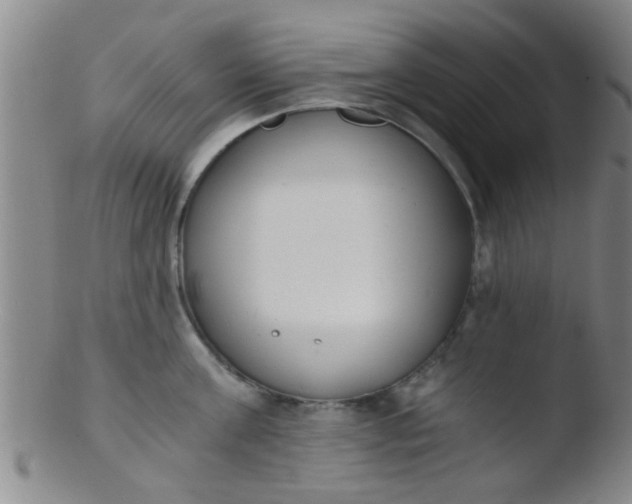 X0000103500811200809262012