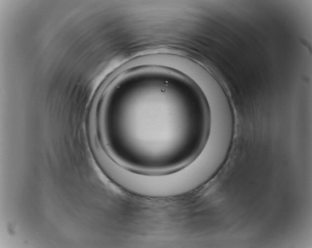 X0000103500813200809262012