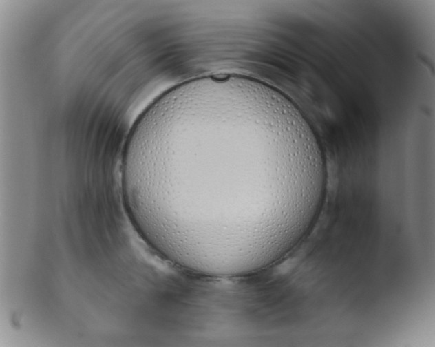 X0000103500814200809262012