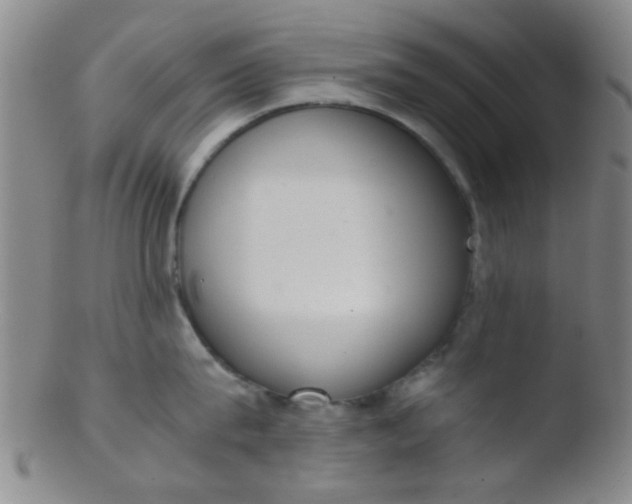 X0000103500815200809262012