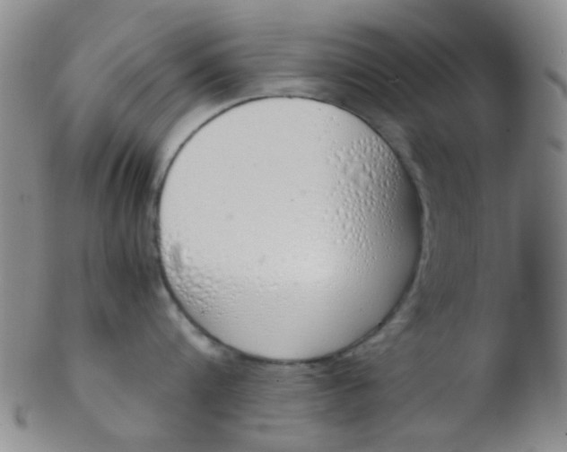 X0000103500816200809262012