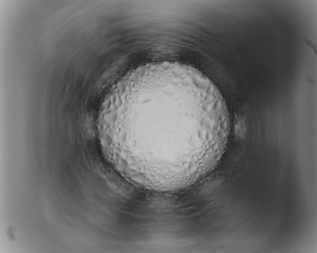 X0000103500819200809262011