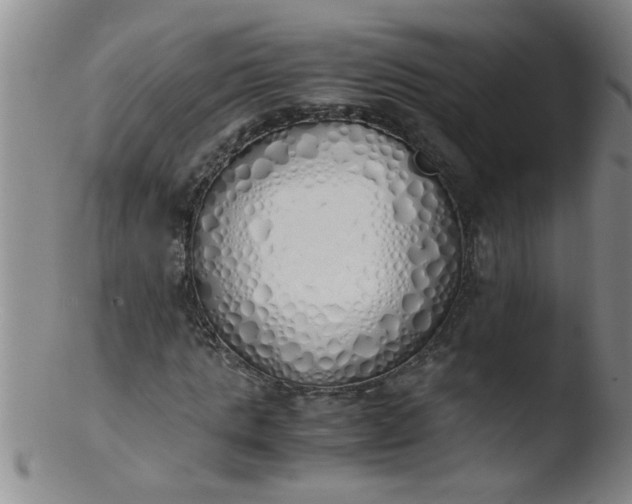 X0000103500821200809262011