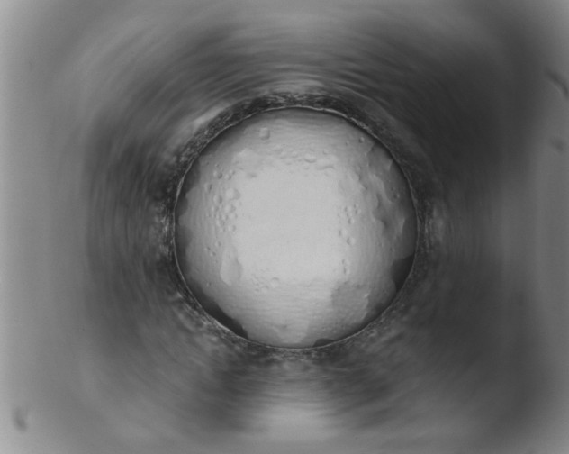 X0000103500822200809262011