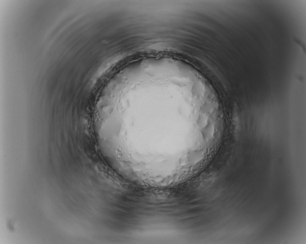 X0000103500823200809262011