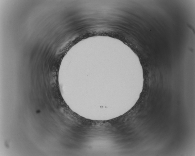 X0000103500824200809262011