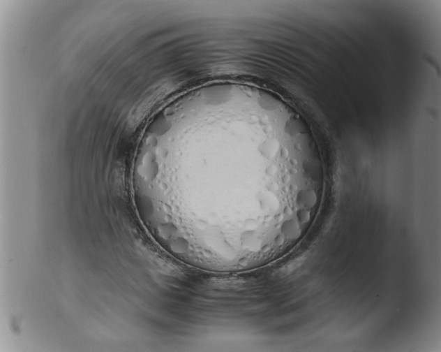 X0000103500825200809262011