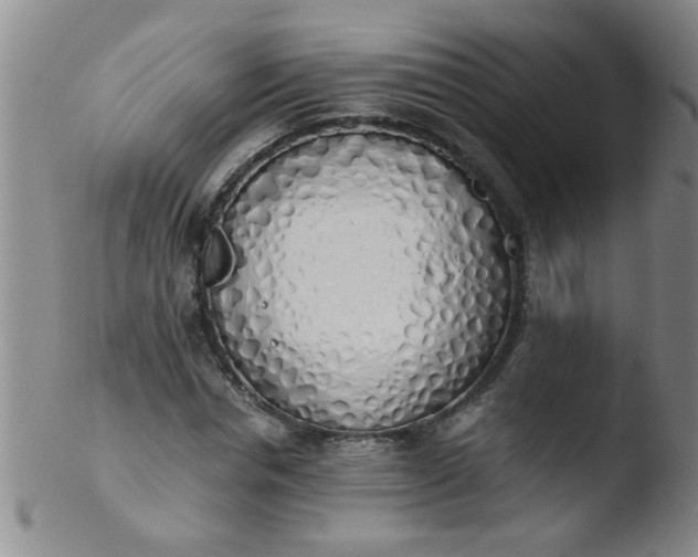 X0000103500826200809262011