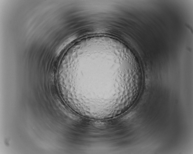 X0000103500827200809262011