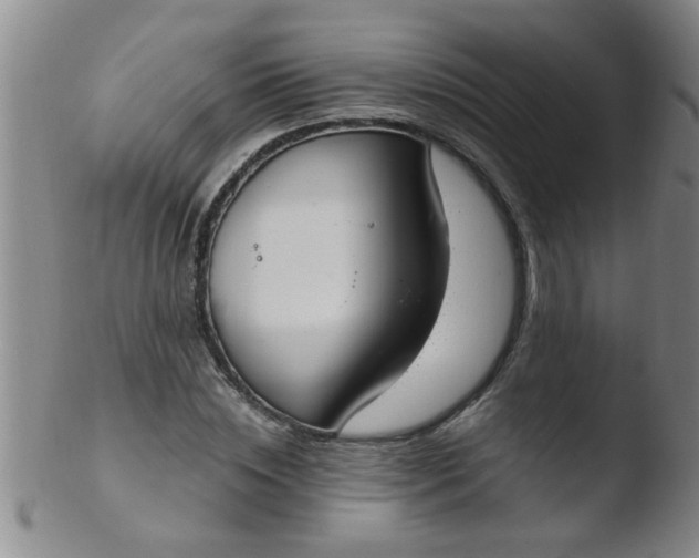 X0000103500828200809262011