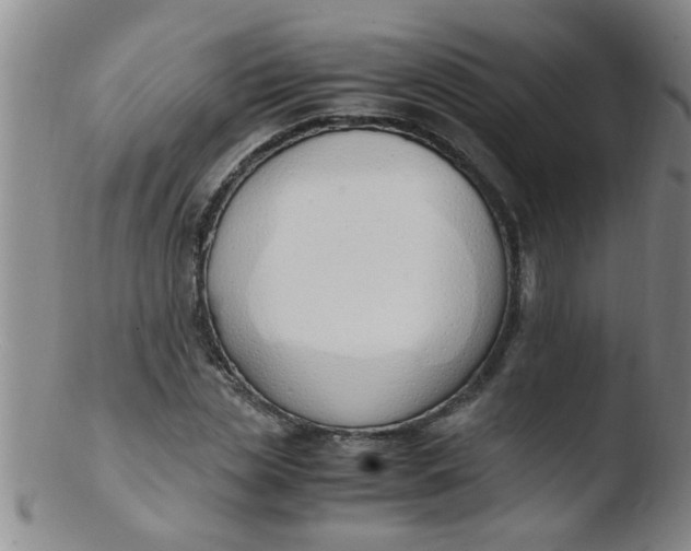 X0000103500829200809262011