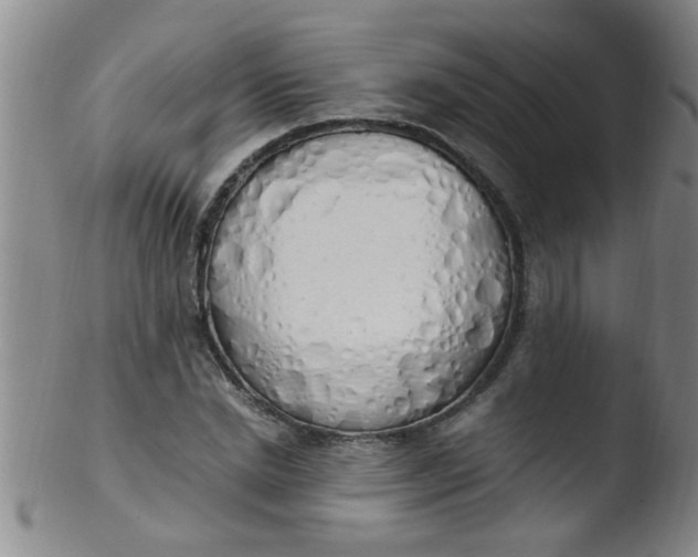 X0000103500830200809262011