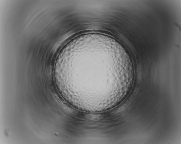 X0000103500831200809262011