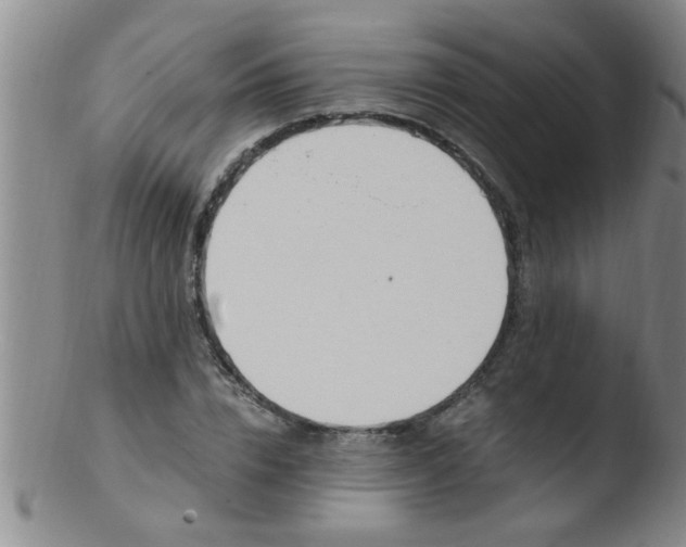 X0000103500832200809262011