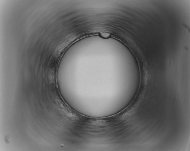 X0000103500833200809262011