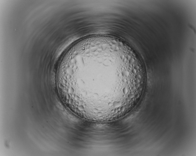 X0000103500835200809262011