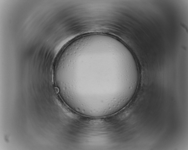 X0000103500838200809262011