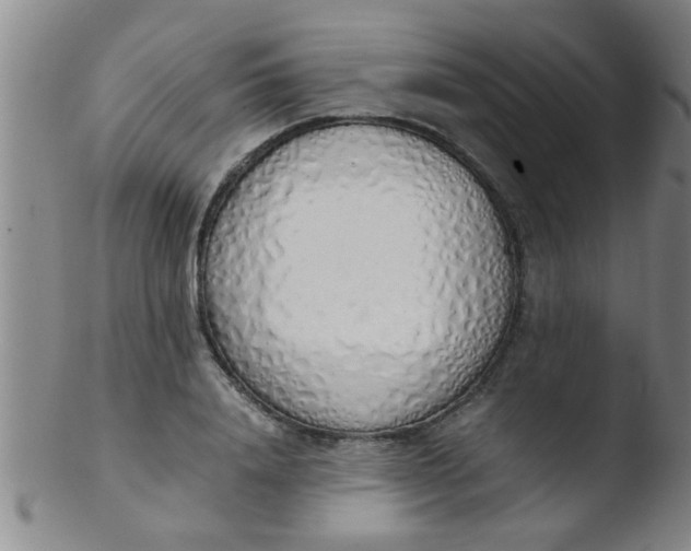 X0000103500840200809262011