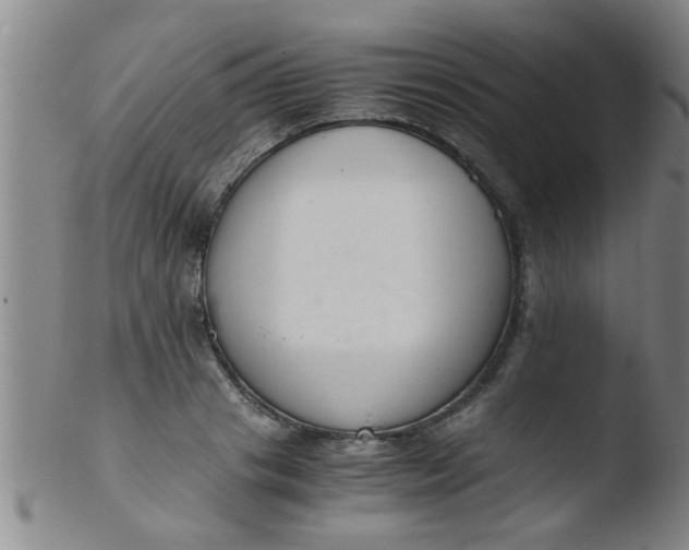 X0000103500841200809262011