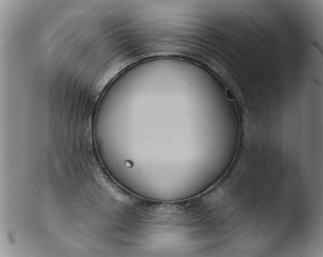 X0000103500842200809262012