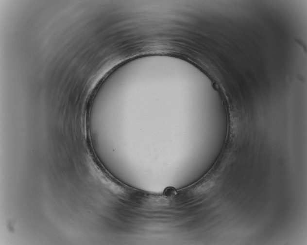 X0000103500843200809262012