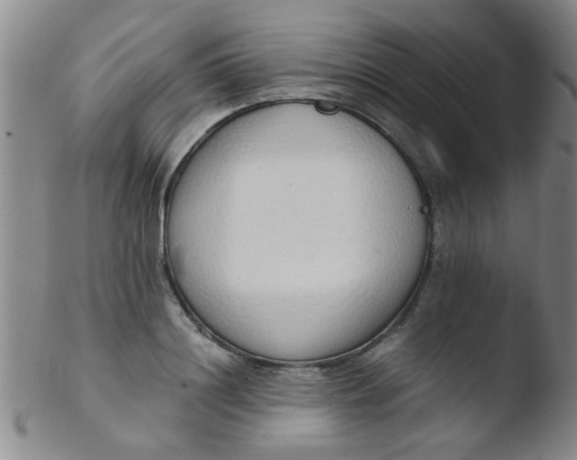 X0000103500844200809262012