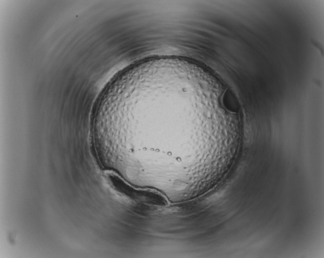 X0000103500845200809262012