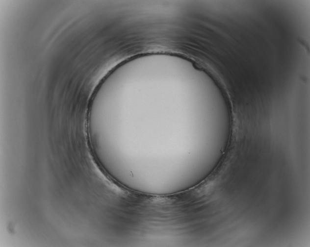 X0000103500847200809262012