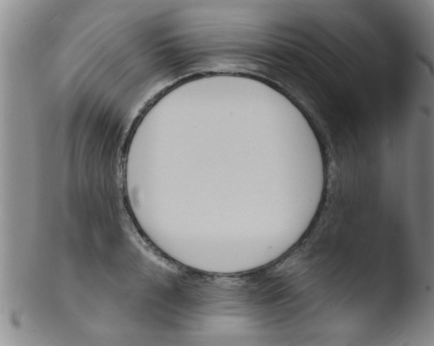 X0000103500848200809262012