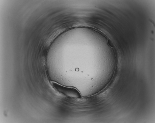 X0000103500849200809262012