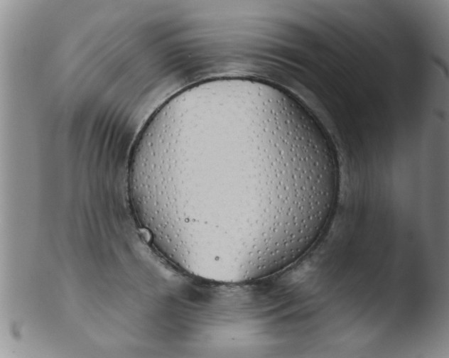 X0000103500850200809262012