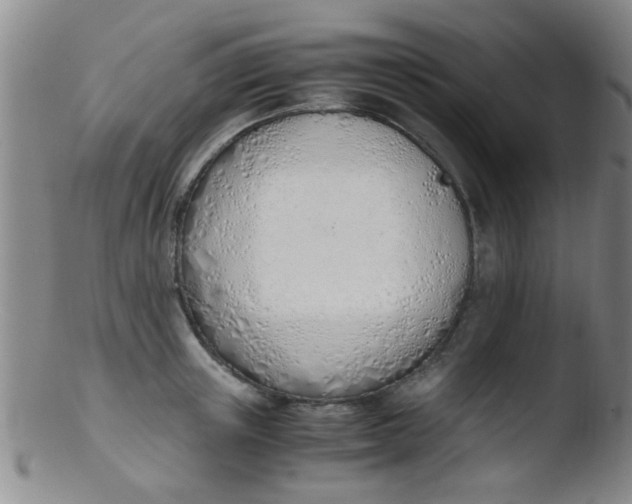 X0000103500851200809262012