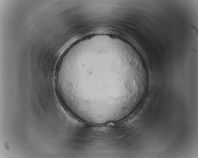 X0000103500853200809262012