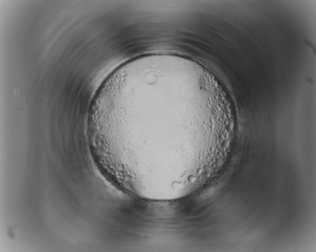 X0000103500855200809262012