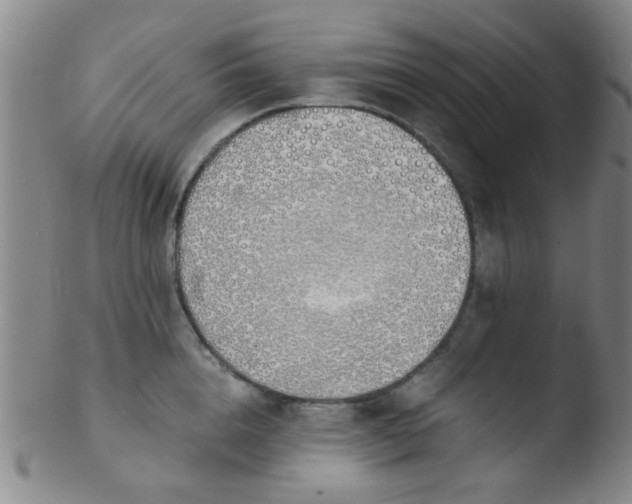 X0000103500856200809262012